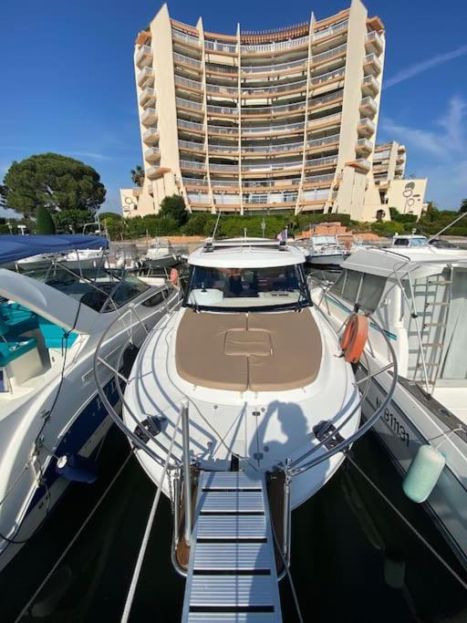 Sejour Sur Bateau De Plaisance * Mandelieu
